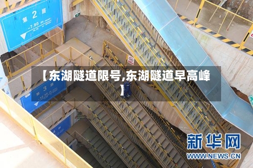 【东湖隧道限号,东湖隧道早高峰】