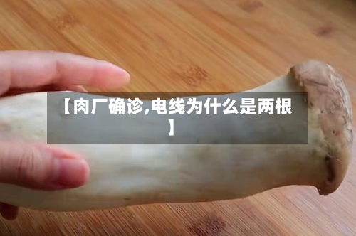 【肉厂确诊,电线为什么是两根】